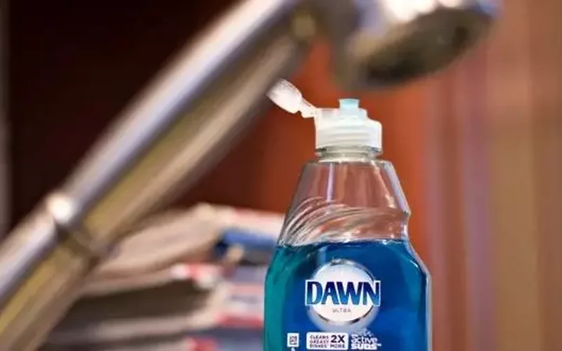 101 Uses For Dawn Dish Soap That Will Make Your Life Easier 1 101 uses for dawn dish soap featured