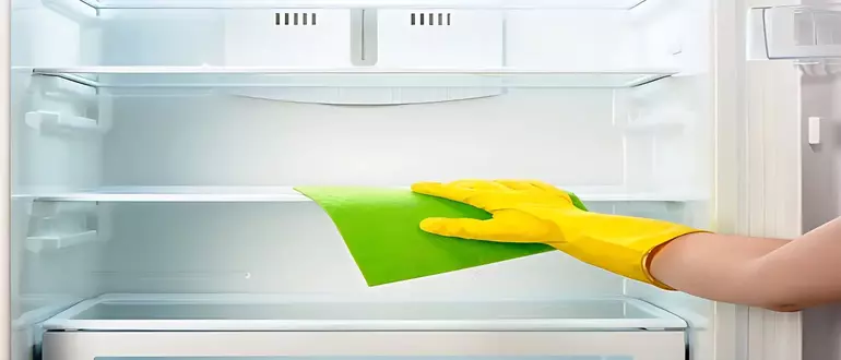 How to keep your fridge clean and avoid the maggot smell in the future