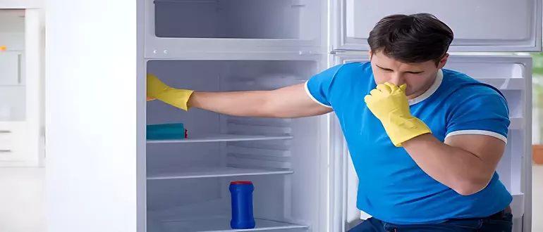 How To Get Rid Of Maggot Smell In Fridge? Fresh Ideas