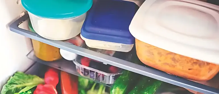 What are the Health Risks of Using Styrofoam in Your Refrigerator