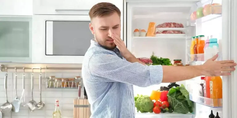 Why Does My Fridge Smell Like Rotten Eggs?