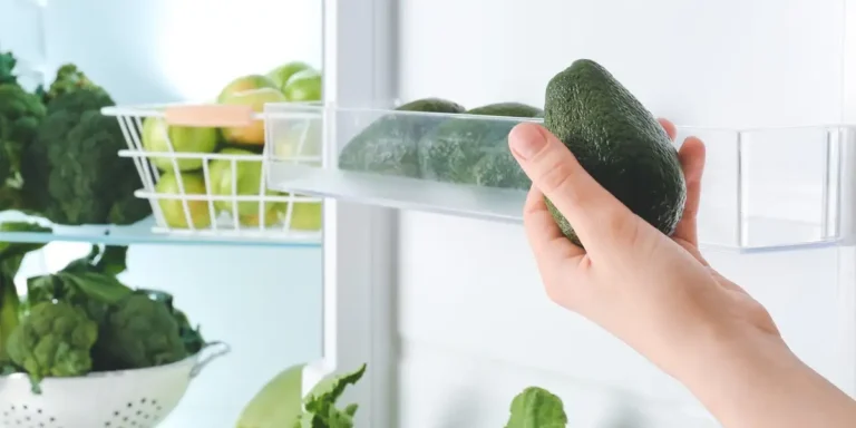 Do You Put Avocados In The Refrigerator? Freshest Storage Tips