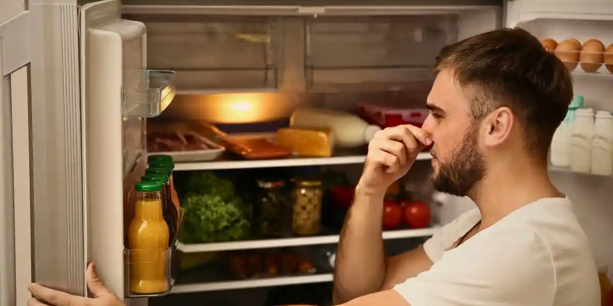how to get smell out of refrigerator after power outage