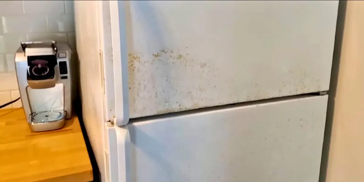 what causes rust on the outside of a refrigerator