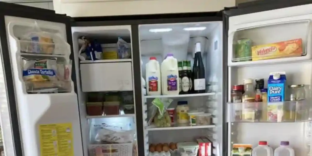 common reasons for ge refrigerator freezer light failure
