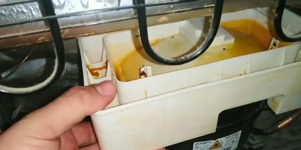  inspect the drain pan