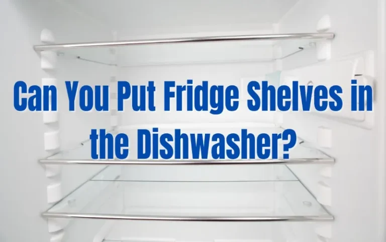 Can Fridge Shelves Go in the Dishwasher?: Quick Cleaning Guide!