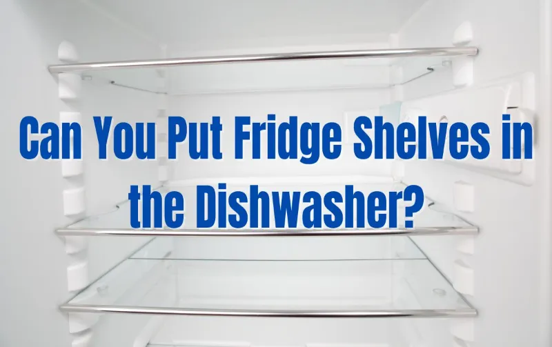 Can Fridge Shelves Go in the Dishwasher?: Quick Cleaning Guide!