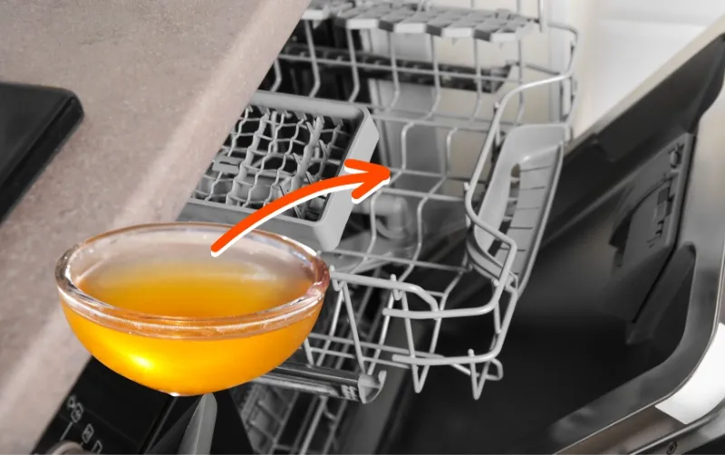 Can You Clean Dishwasher with Apple Cider Vinegar? Discover How!