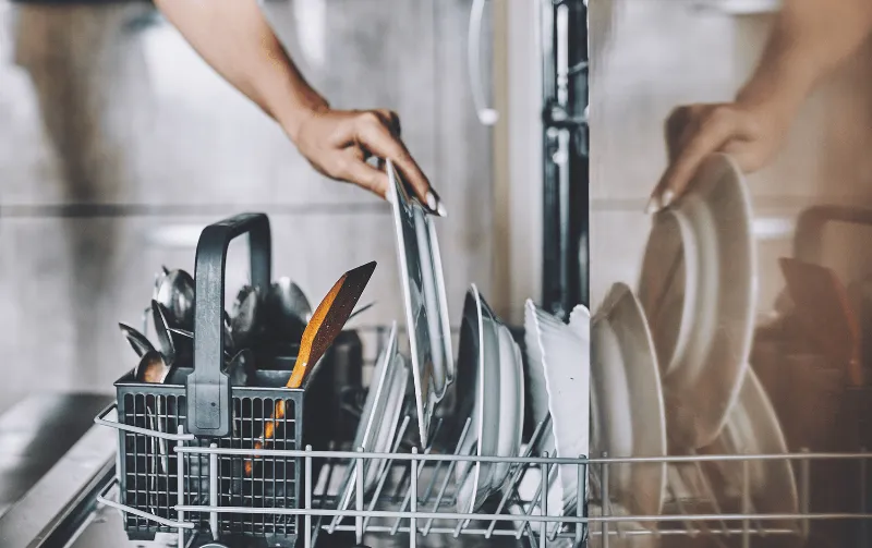 Does Dishwasher Kill E Coli: The Ultimate Germ Fighter