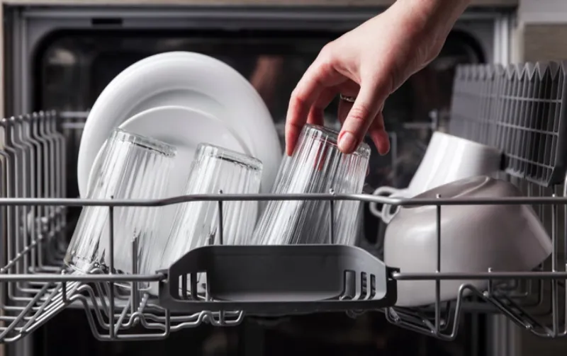 Does the Dishwasher Kill Bacteria? Germ-Free Facts!