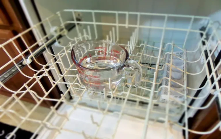 Does the Dishwasher Kill Mold  : Ultimate Mold Disinfection Guide