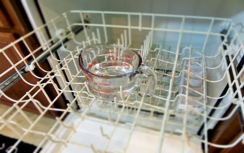 Does the Dishwasher Kill Mold : Ultimate Mold Disinfection Guide