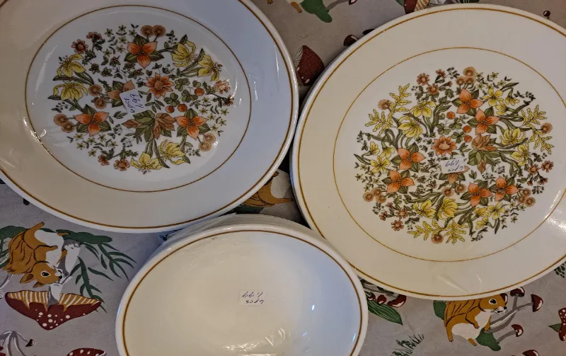 Is Vintage Corelle Dishwasher Safe? Discover the Truth Here