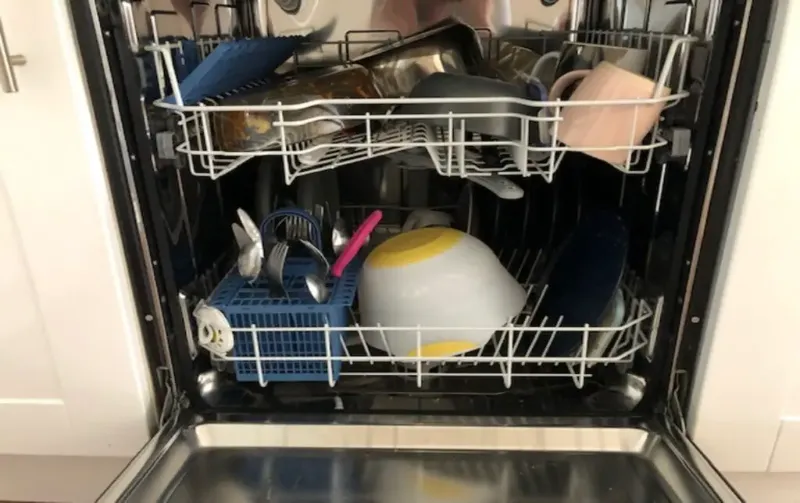 What Kills Serratia Marcescens in Dishwasher: Disinfecting Solutions