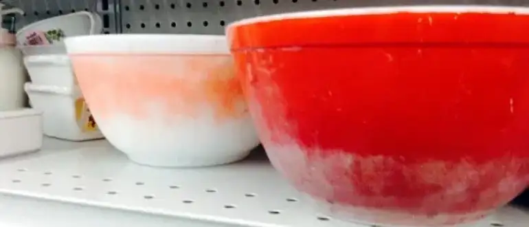 Is Pyrex Dishwasher Safe? (Everything You Need to Know) 2 Is Vintage Pyrex Dishwasher Safe