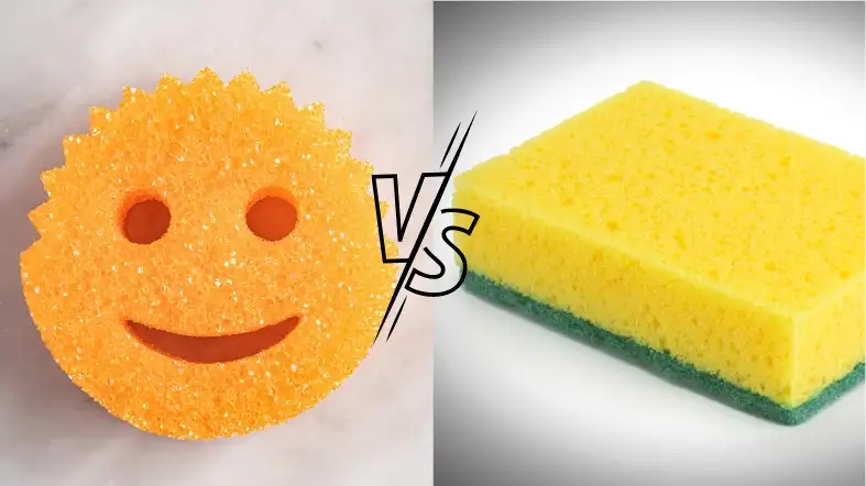 Can You Put Scrub Daddy Sponges In The Dishwasher? 3 Scrub Daddy Vs Regular Sponge