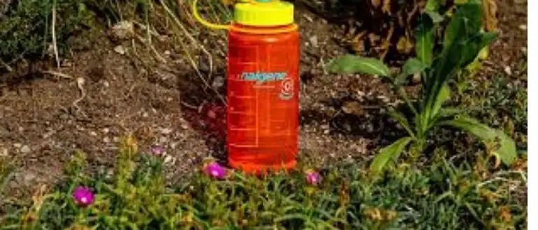 Are Nalgene Bottles Dishwasher Safe? All You Need to Know! 2 How Often Should You Clean Nalgene Water Bottle?